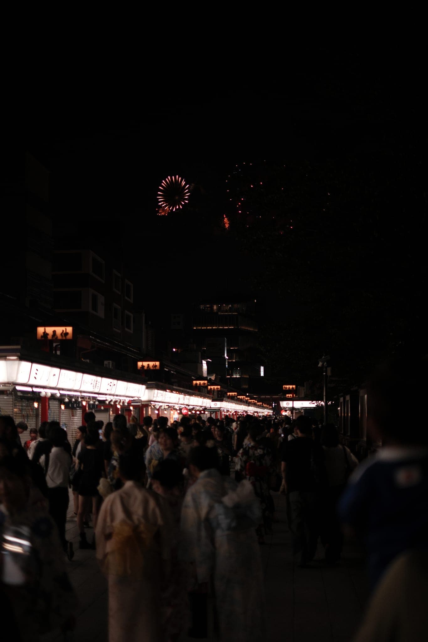 Tokyo Summer Night