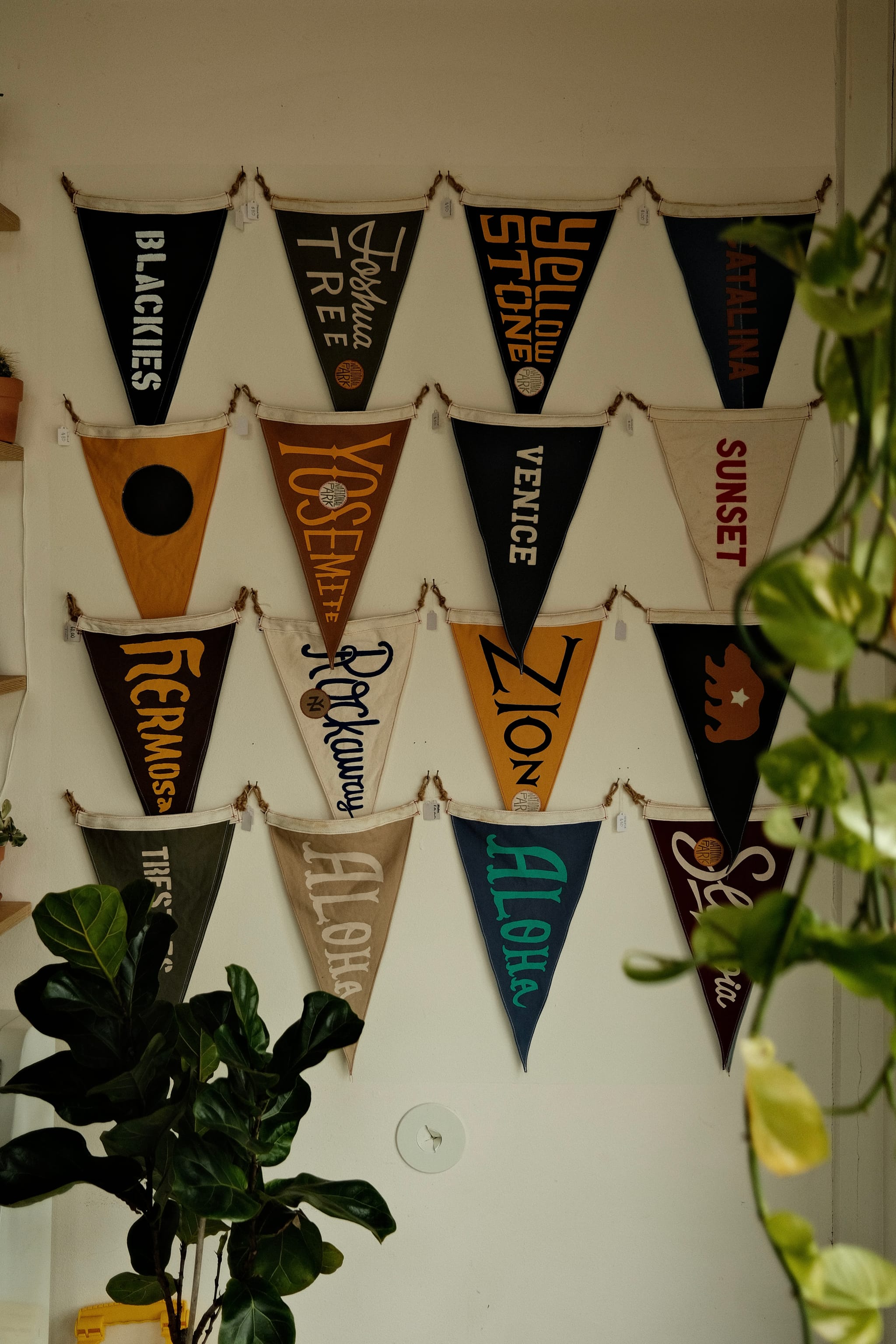 Pennants