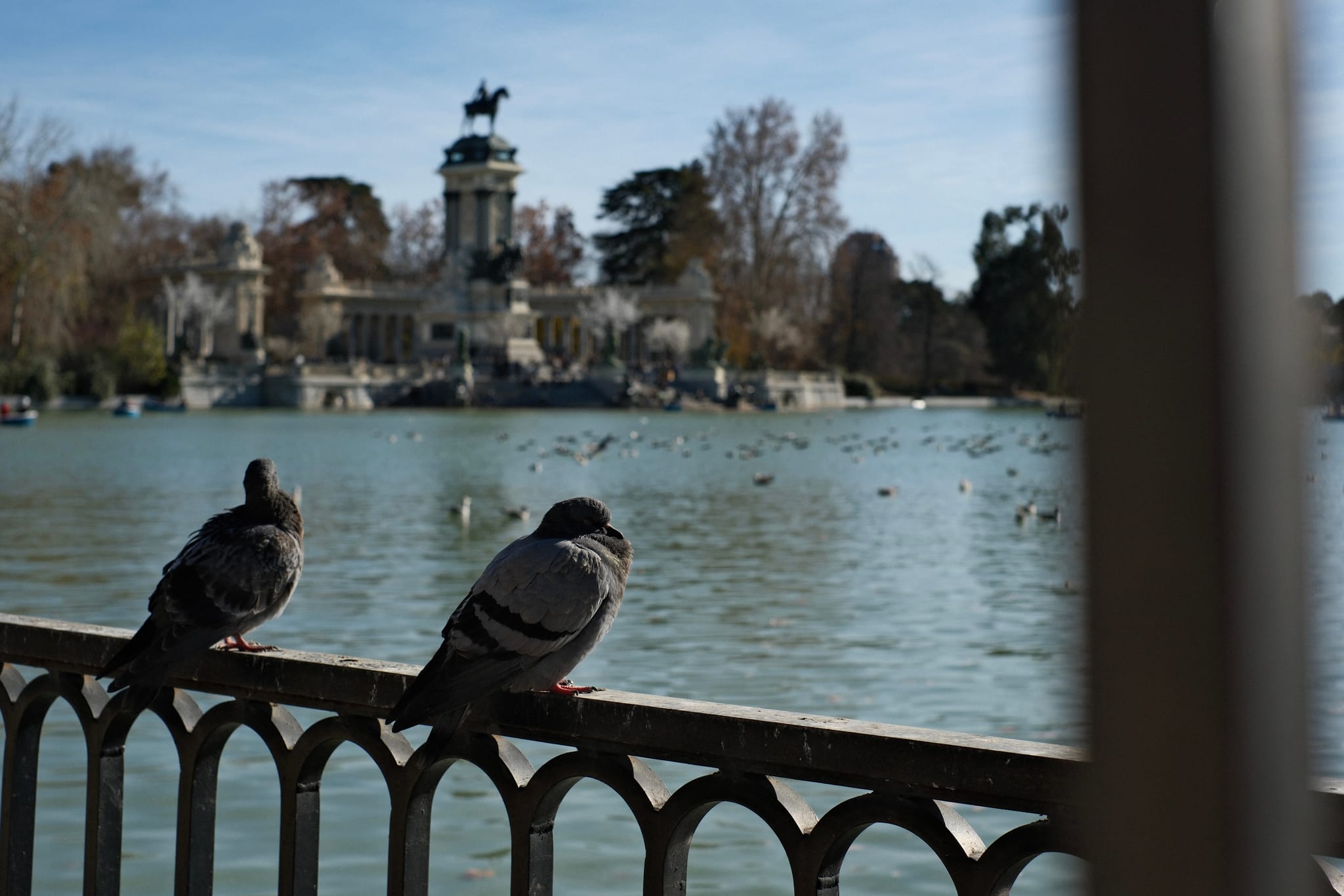 Birds of Retiro